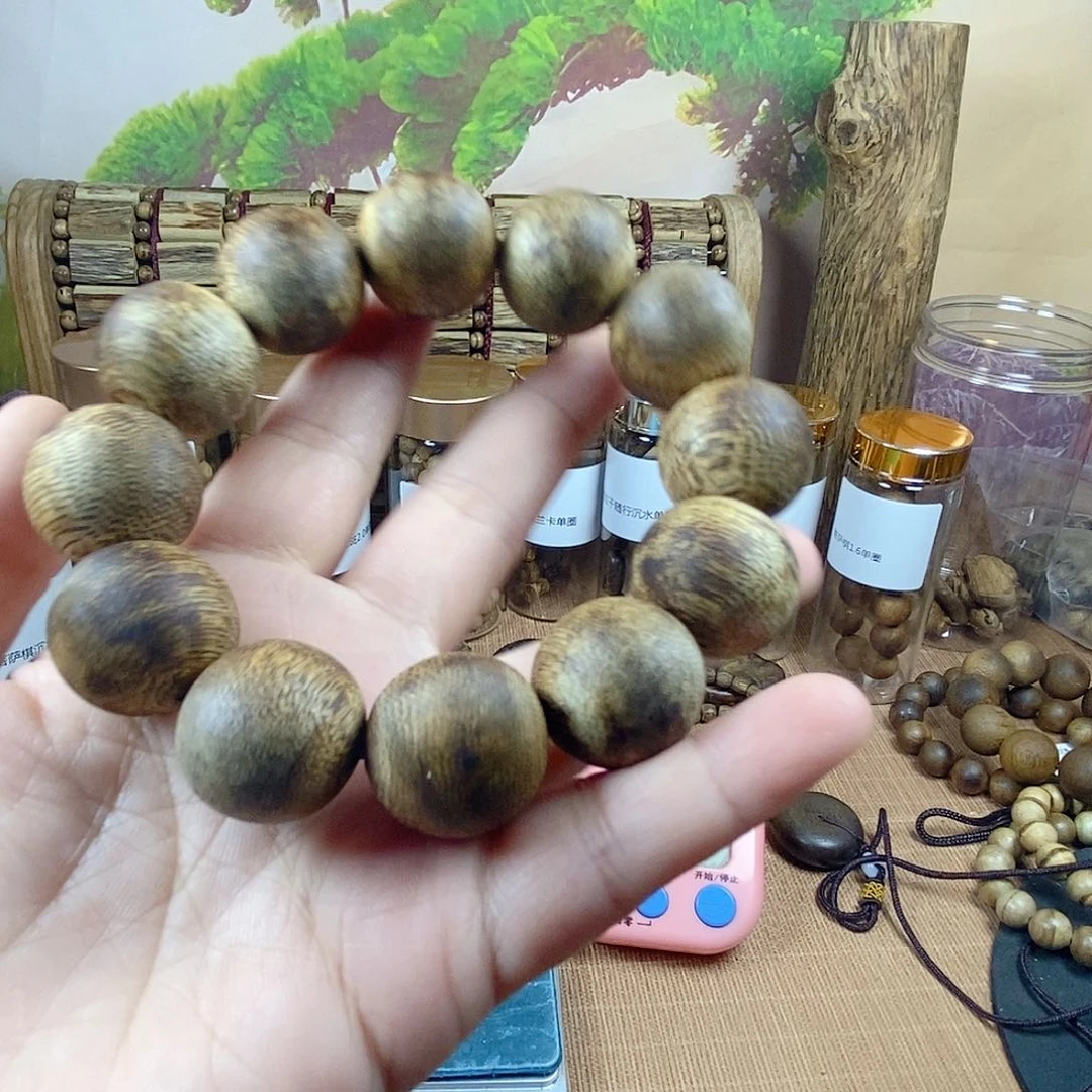无*达拉干2.0花咯哦哦哦