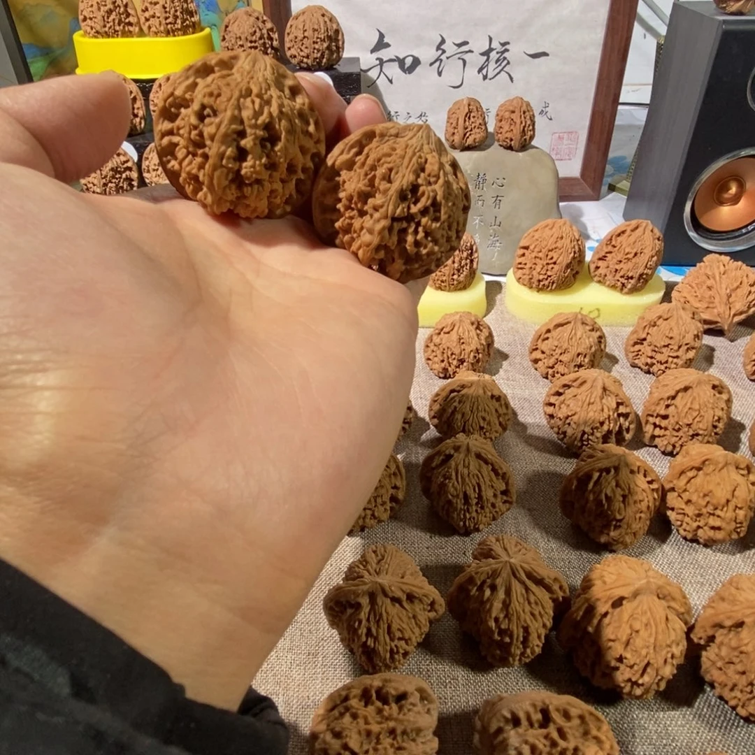 木质类福利满天星