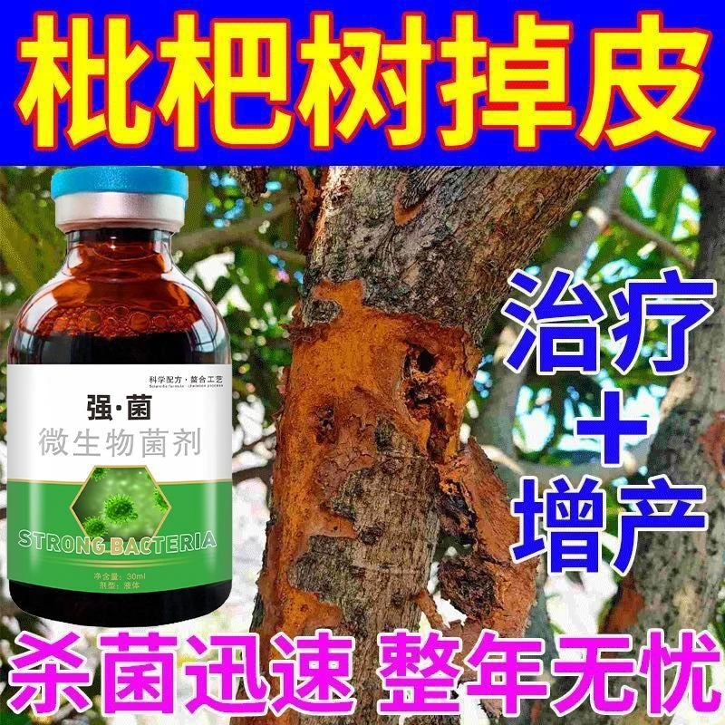 枇杷花腐病强效杀菌剂枇杷果专用药枇杷病全治斑点黄叶干腐炭疽病