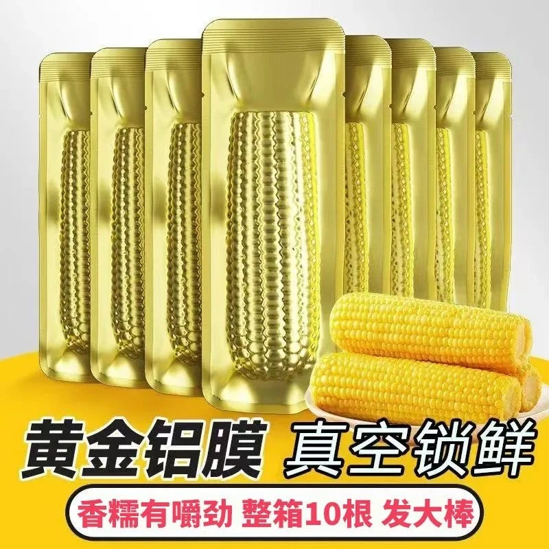 【试吃2根】铝箔包装东北黄糯玉米大棒10根整箱6-7斤香甜软糯