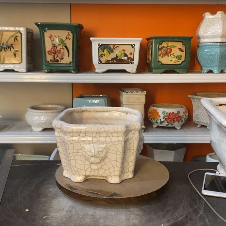 红陶王*花盆里的小猫咪