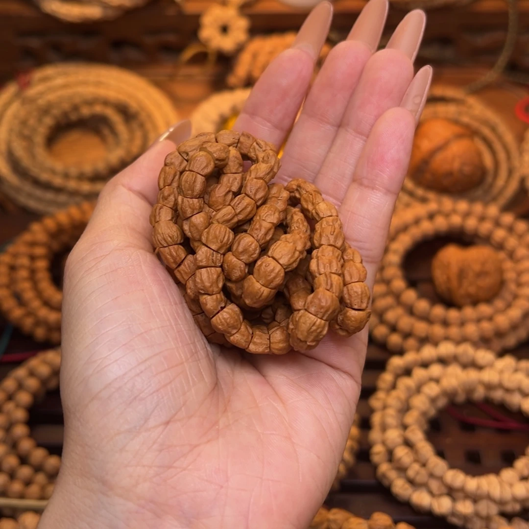 木质类热振果冻皮大肠