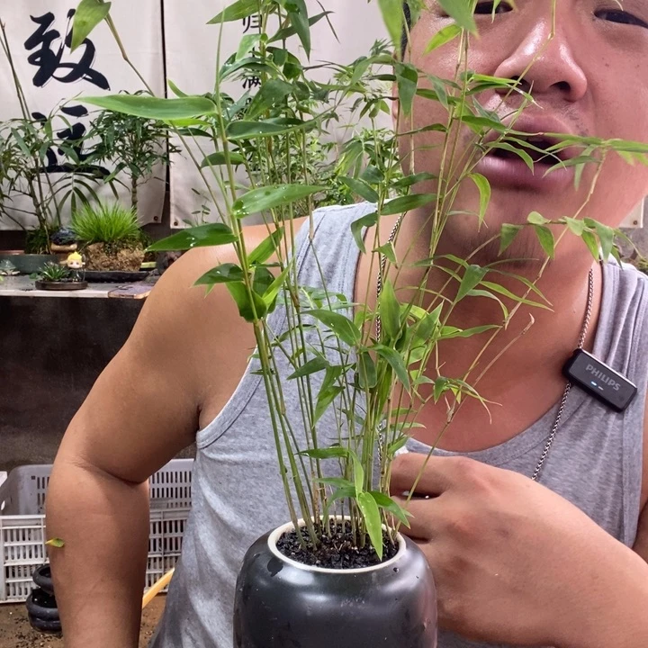 无花朵退款拉黑拉黑101