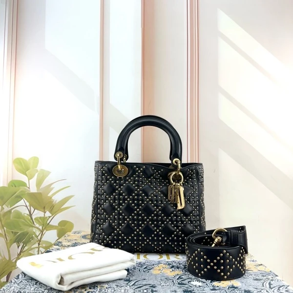 迪奥/95新/包包/250308EV0030/C536604144