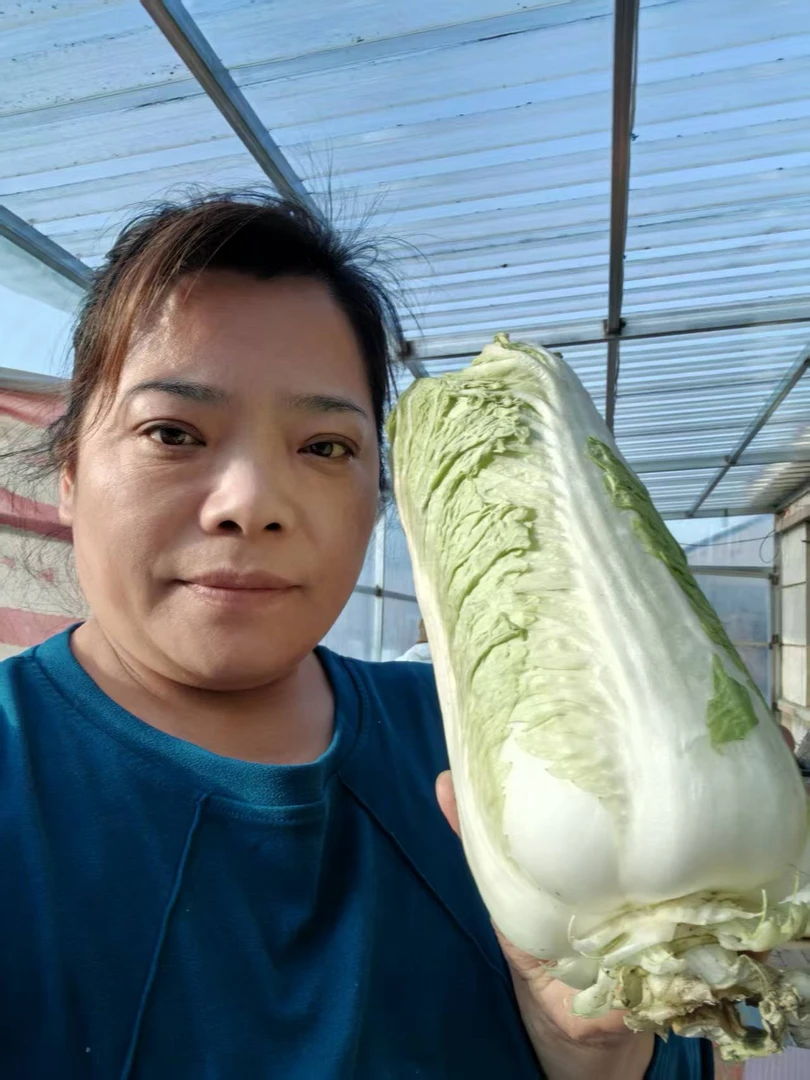 波姐家小园大白菜