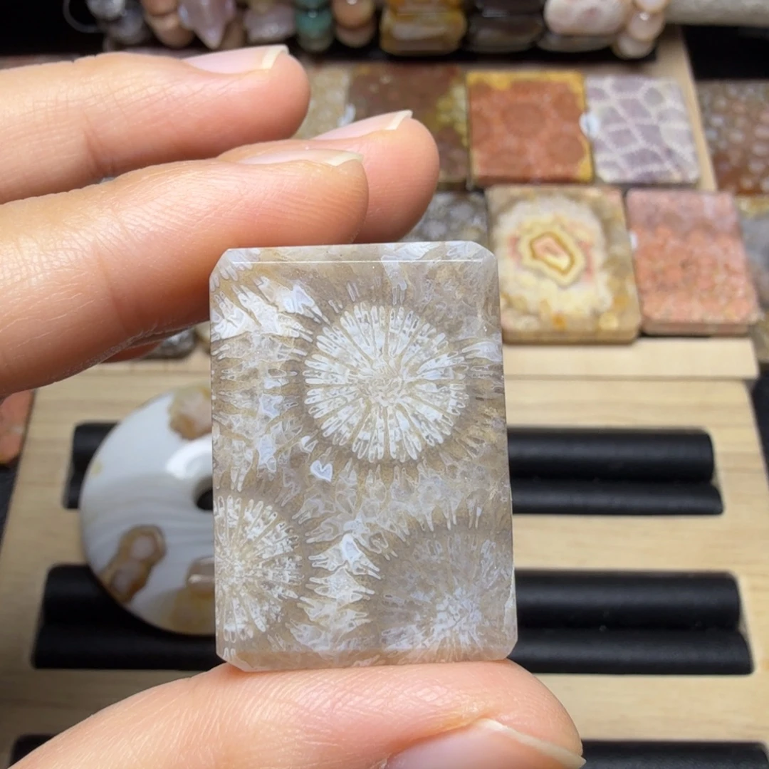 硅化玉未镶嵌玉透