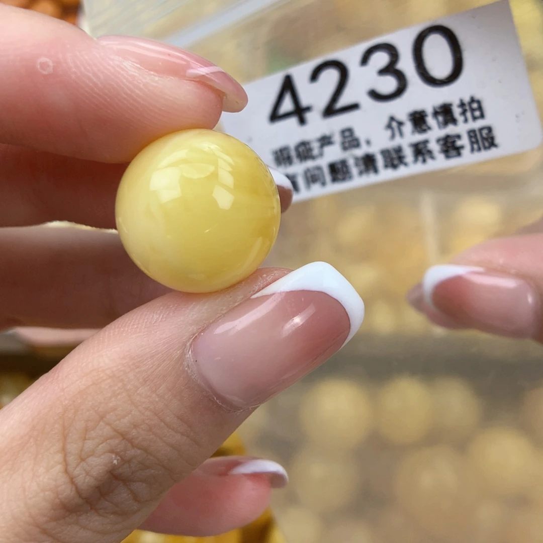 琥珀未镶嵌珠宝奇石16植物