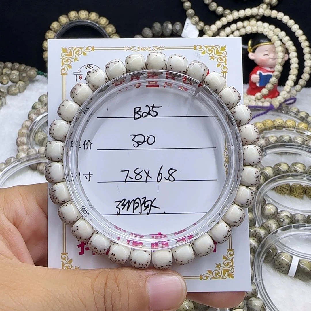 G****?心月星月菩提一号B25