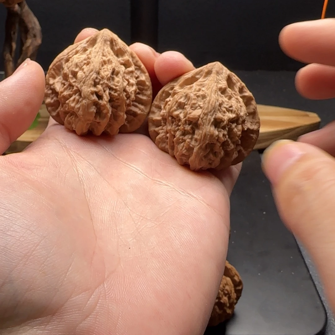 核桃极品配对马蹄火焰