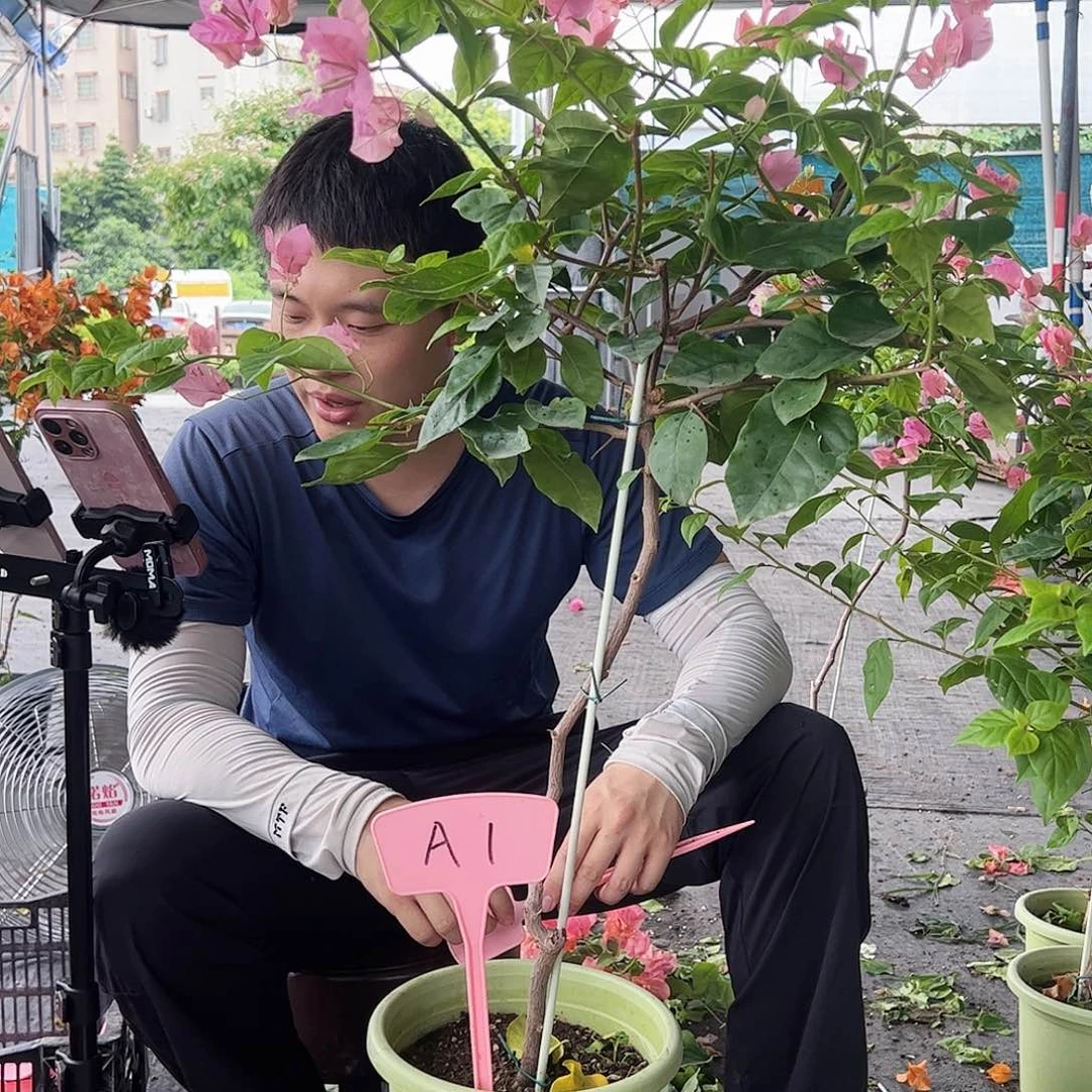 洁***浴大部分开放少量花苞A1橙粉