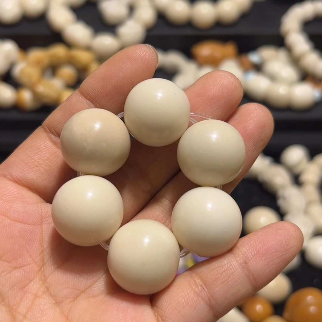 吊坠菩提根/象牙果微瑕