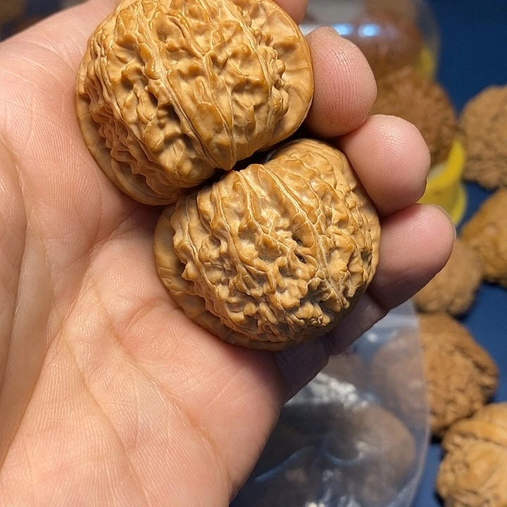文玩核桃把件所*白狮子