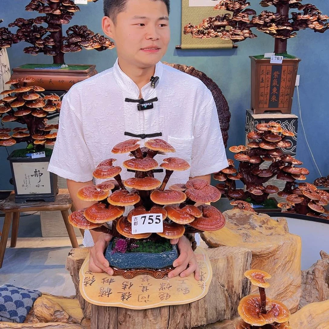 无花朵8888888888888888