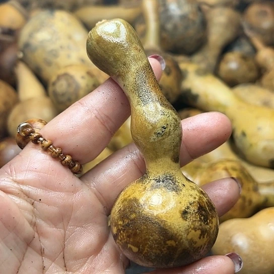 缘葫芦葫芦葫芦葫芦葫芦