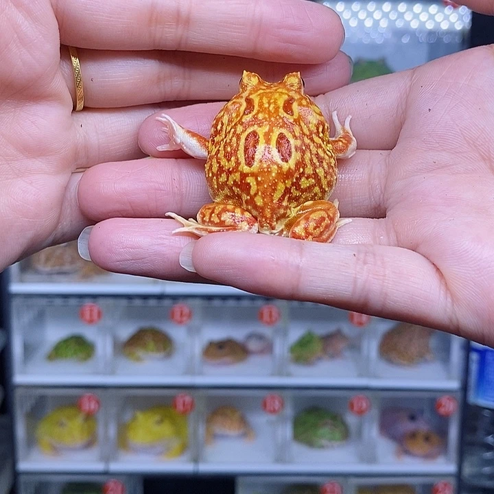 特价秒杀现货特价残