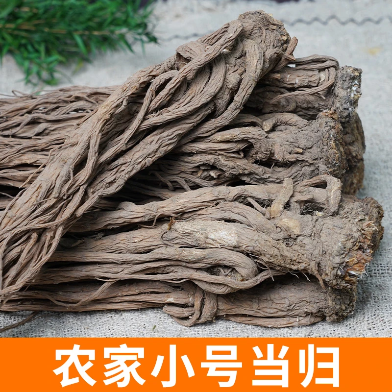 5根装当归 农家干货