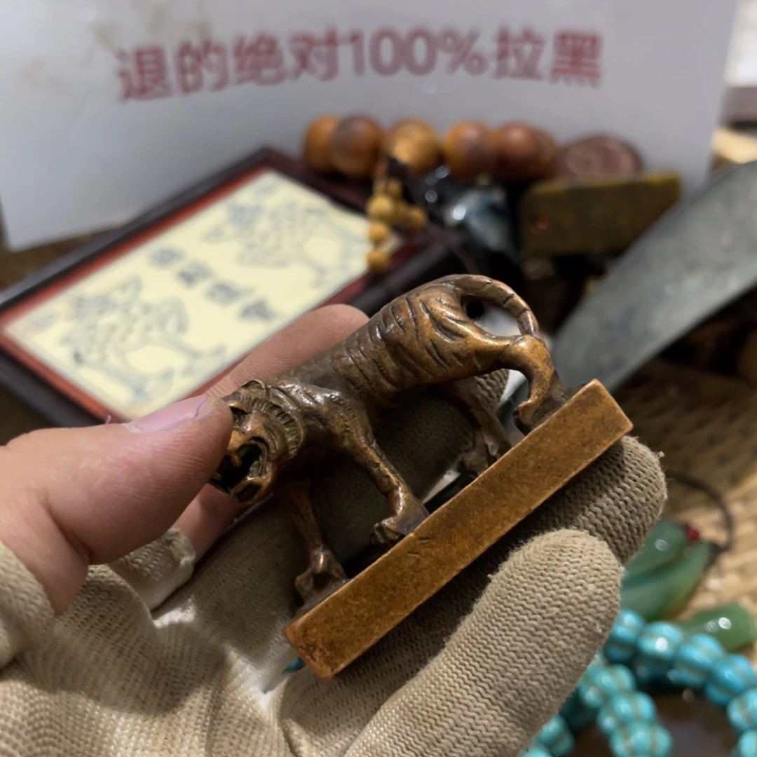 立***瓷片弟弟姐姐的宿舍