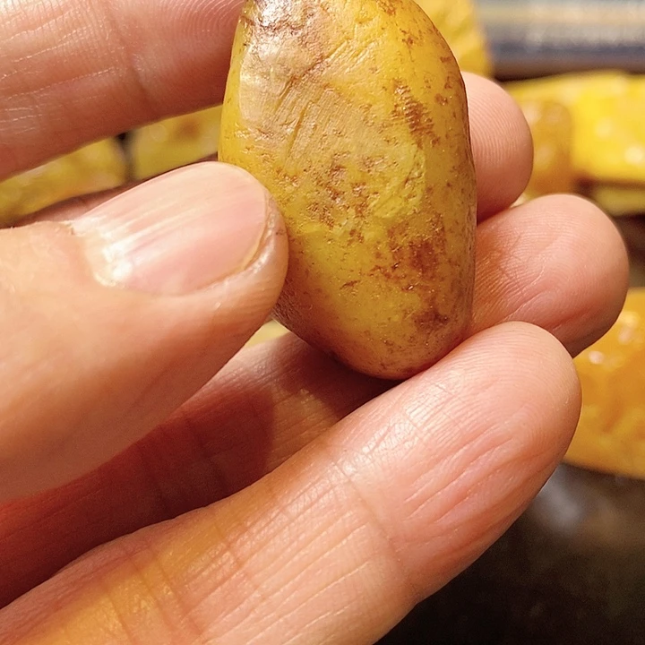 寿山石天*龙福建省福州市