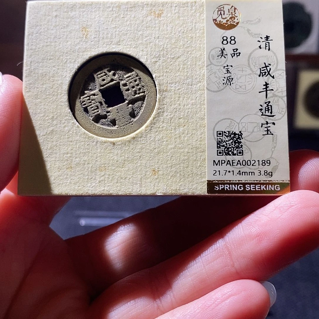 贝壳1 恭喜发财恭喜发财