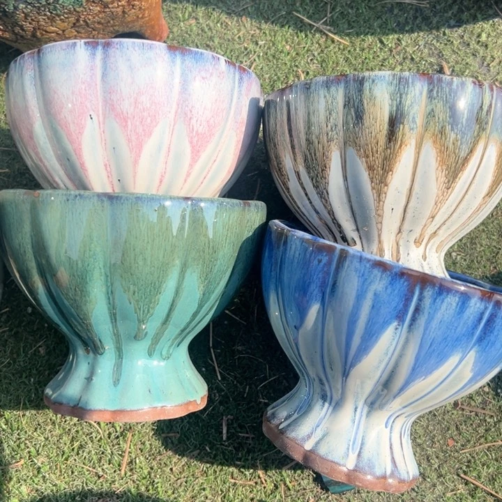 红陶口15高12福利价