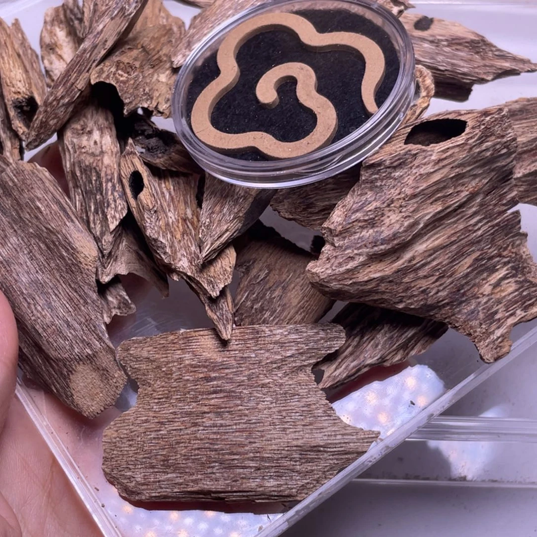 0***2海南虫漏碎料59克