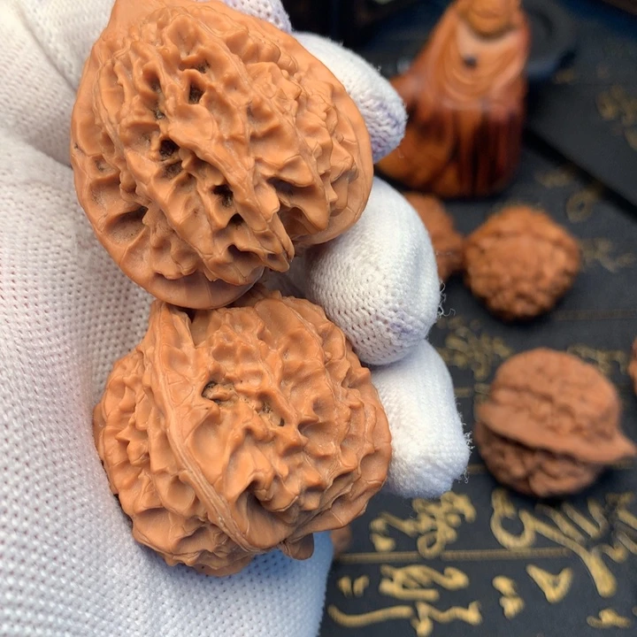 ~**~秦岭森林中发现两条蛇