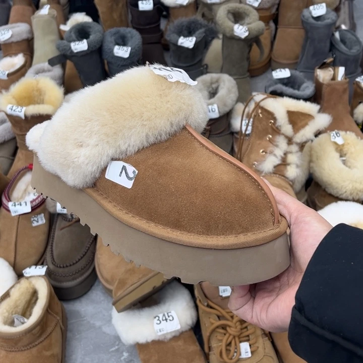 栗色星拖40码数的