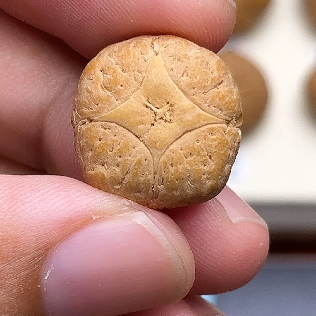 吊坠凤眼菩提10号4星