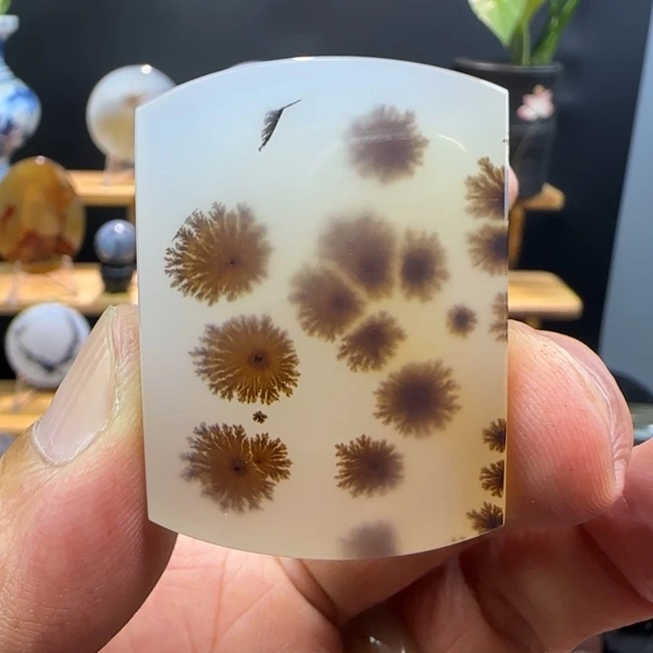 未镶嵌吊坠(不含链)玛瑙/玉髓