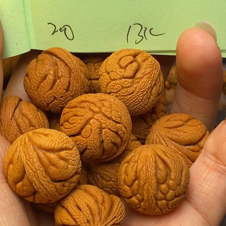 吊坠桃核秦岭龙纹桃核20尺寸