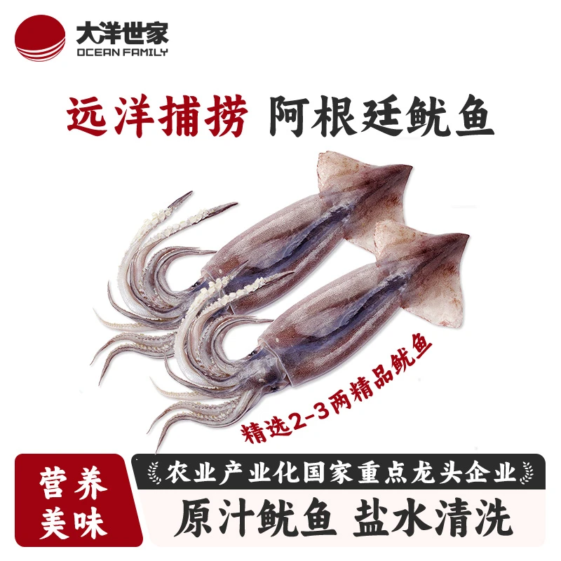 OCEAN FAMILY/大洋世家船冻阿根廷鱿鱼 不添加保水剂 250g