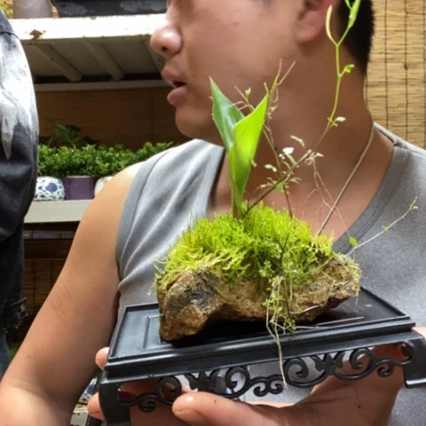 红陶一物一拍所见即所得193