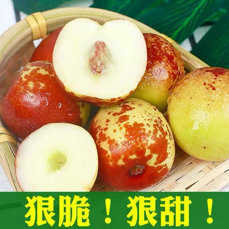 【顺丰包邮】正宗陕西大荔冬枣新鲜现摘脆甜多汁大果2-4斤装果园