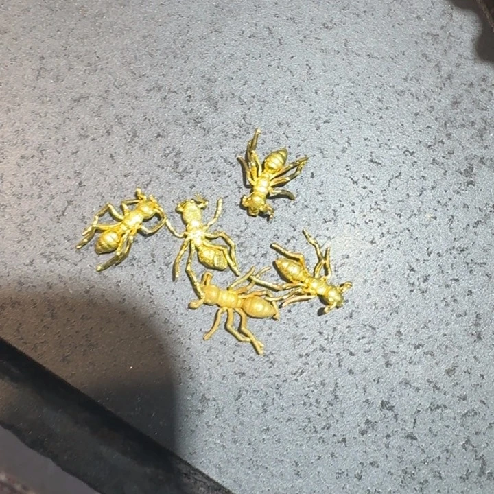 瓷片高高高高高高高高