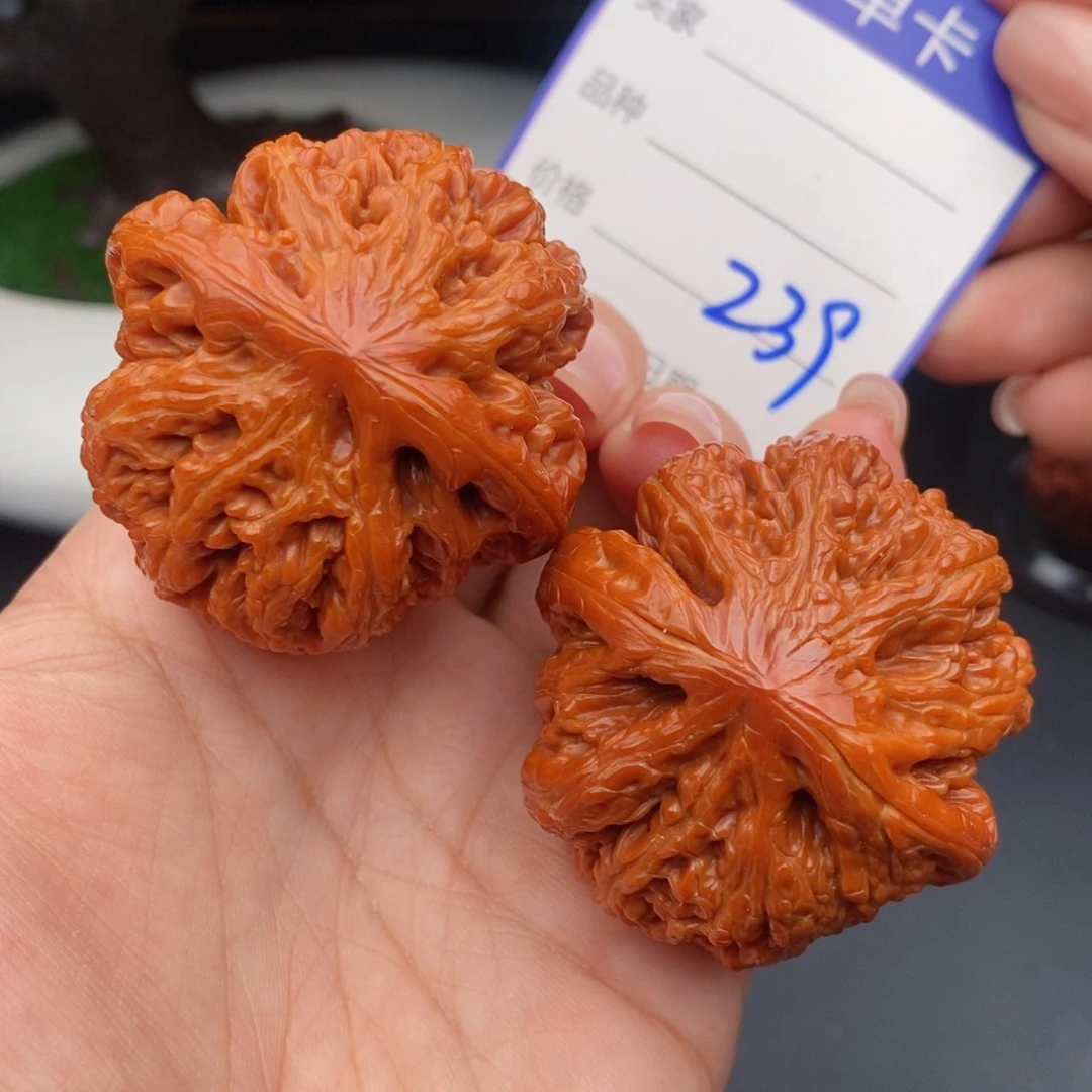 文玩核桃把件45粗筋239