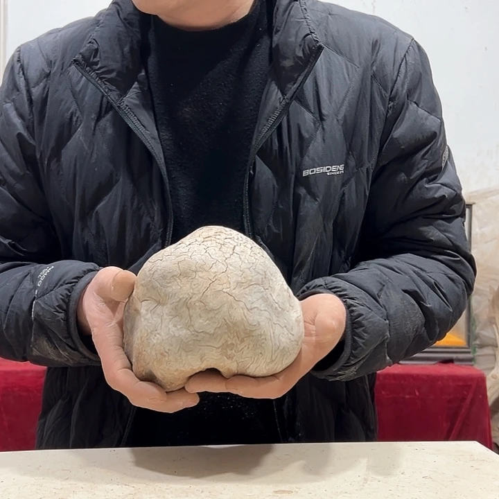 柏木川*我们的生活也会