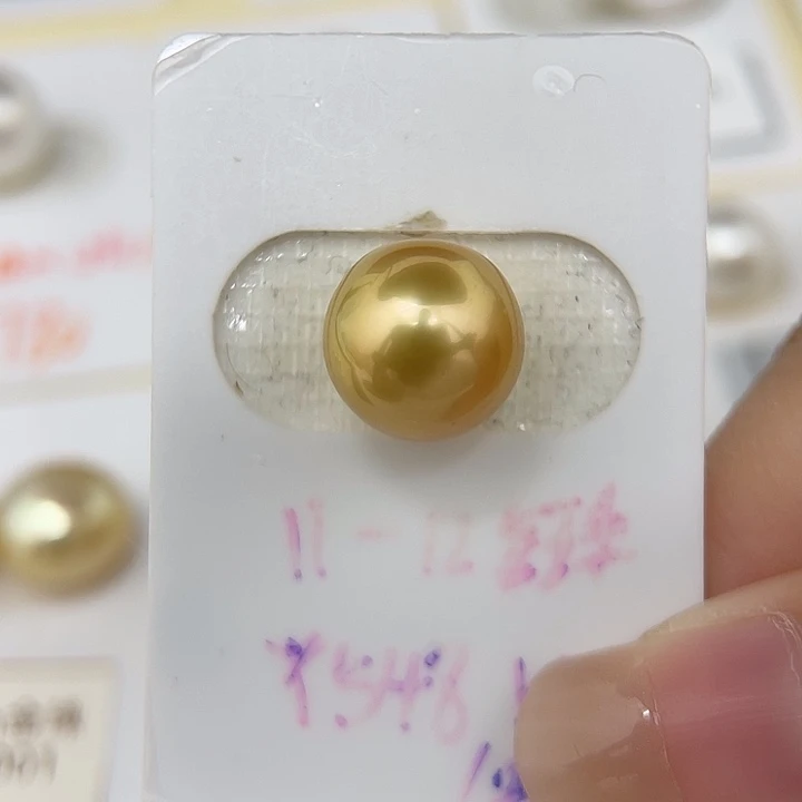 颈饰未镶嵌海水珍珠11.8mm 金珠 H2 浓金 款后显圆