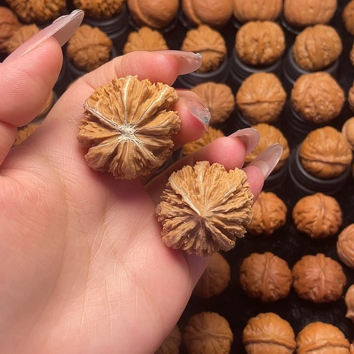 文玩核桃吊坠8号霸王龙