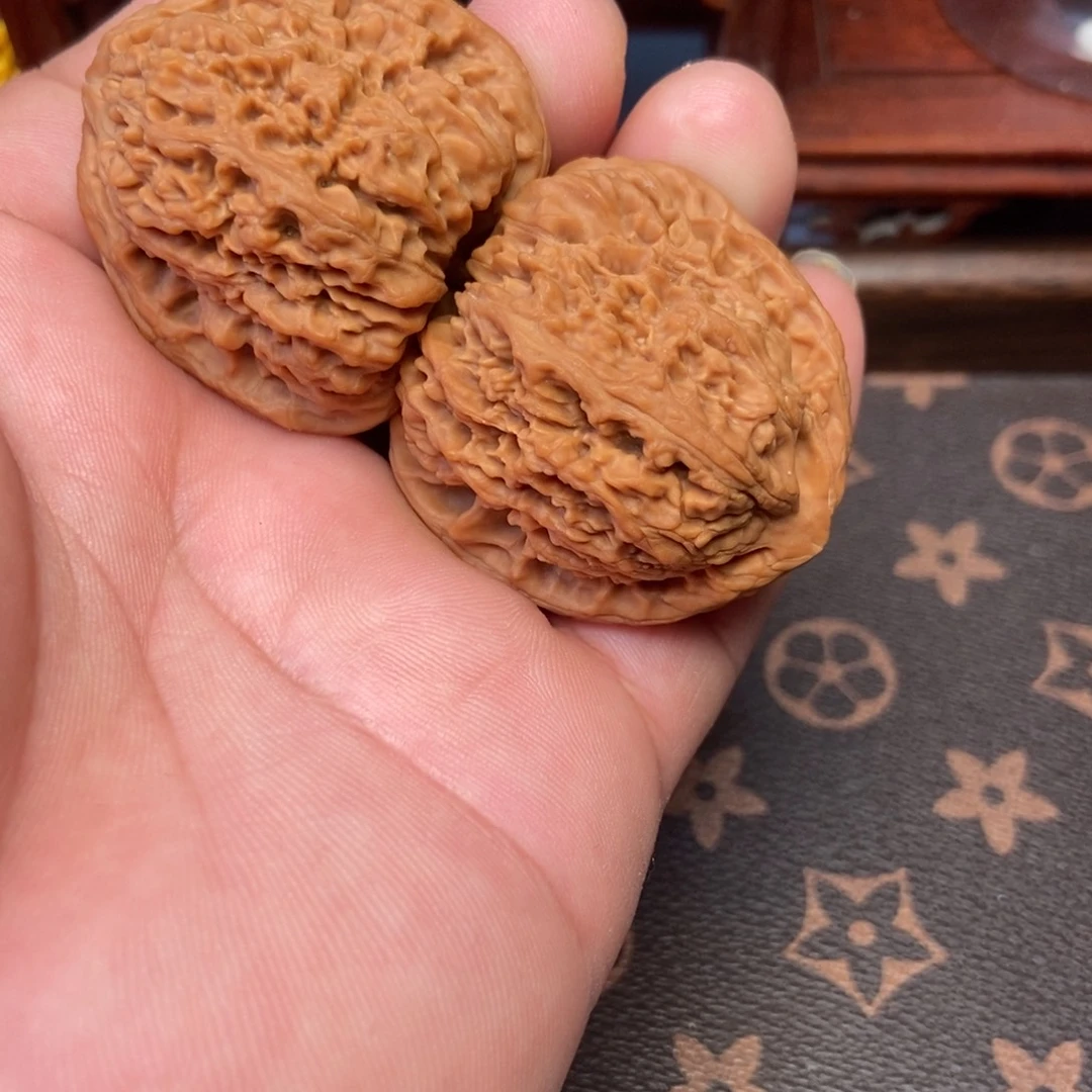 大叶紫檀（黑酸枝木类）