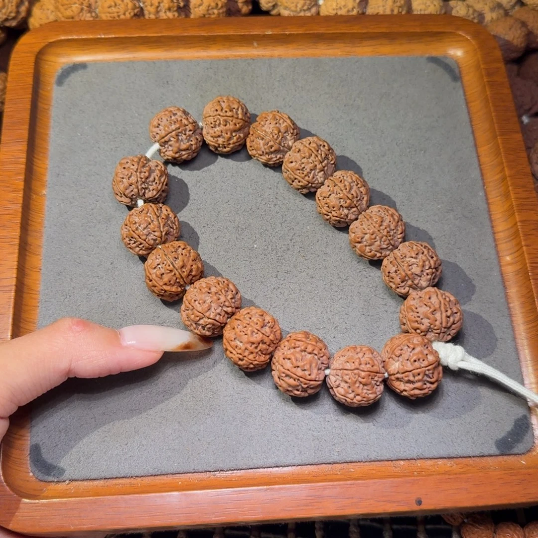 5号尼泊尔大金刚六瓣19原生态梅花