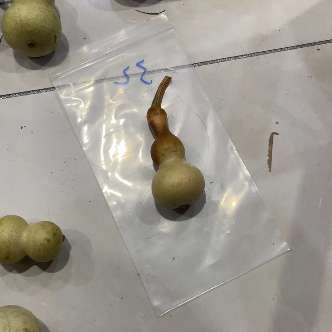 用***6过哈哈哈哈过哈哈哈哈哈