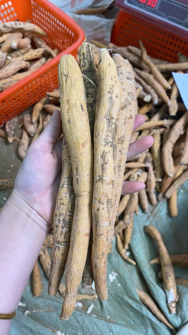[小圆牛]野挖新鲜牛大力山货农产品煲汤泡酒煮水牛