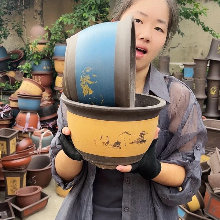 25蓝色+25黄色各一个