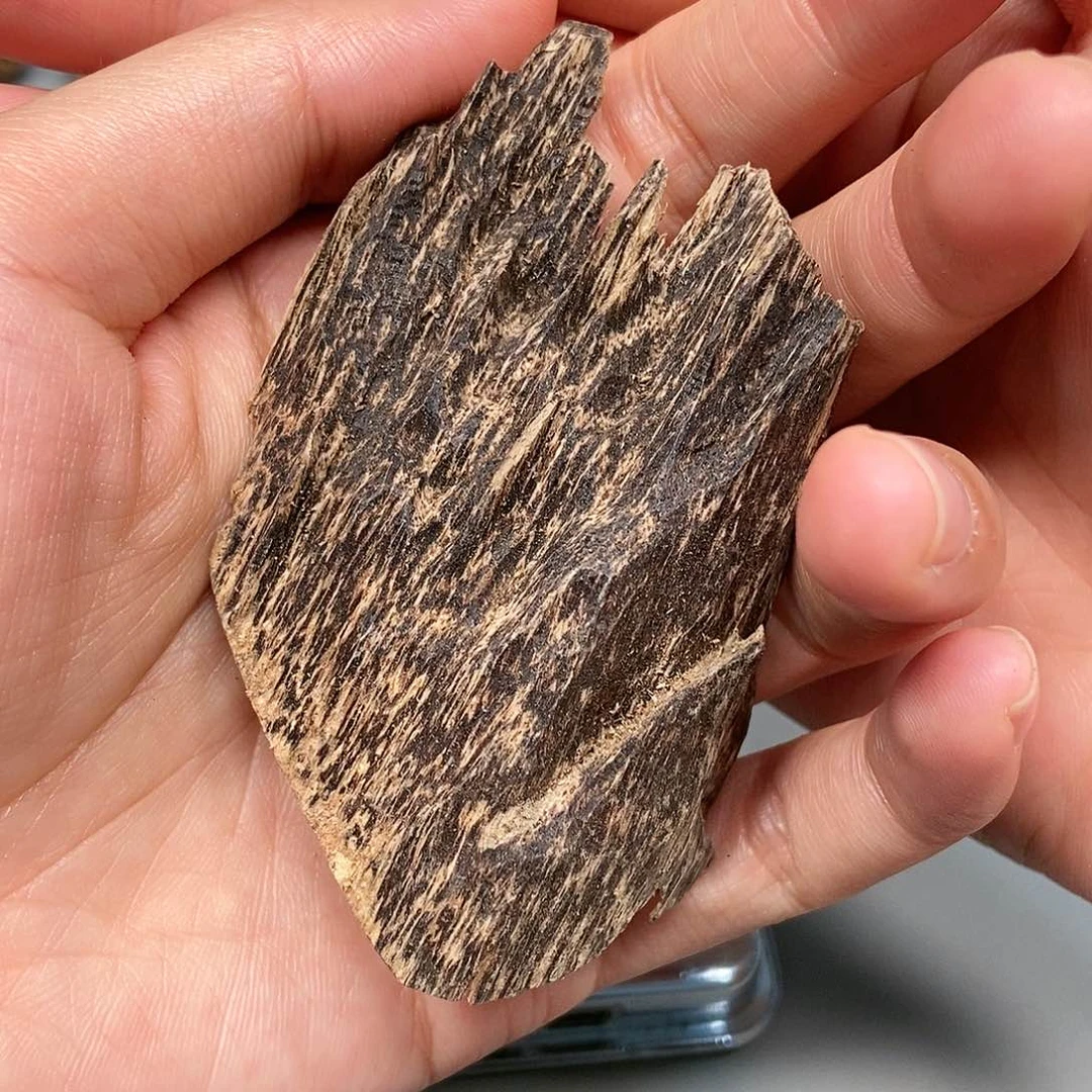 沉香碎屑沉香天然芽庄壳料5克