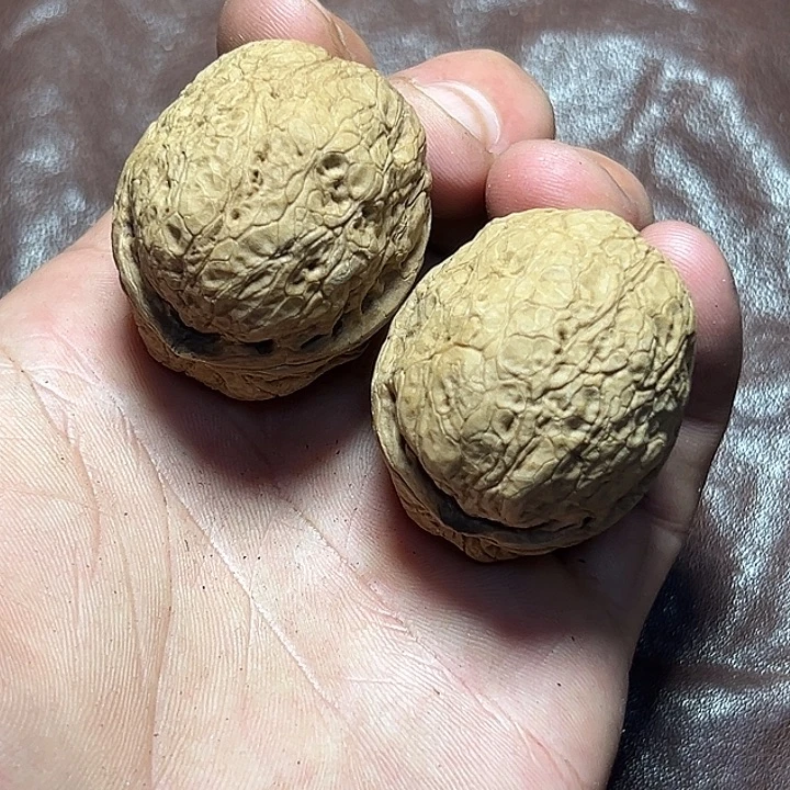 把件文玩核桃51号蛇皮纹元宝卡40