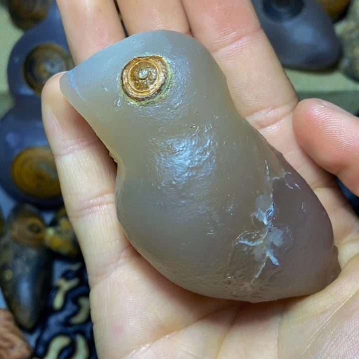 啊***多大叶紫檀（黑酸枝木类）