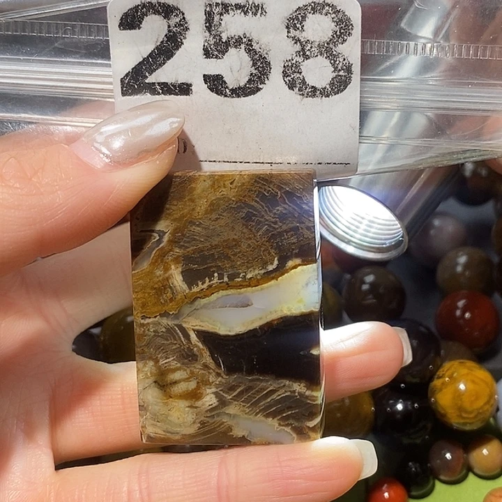 硅化玉未镶嵌天然北票树化玉吊坠