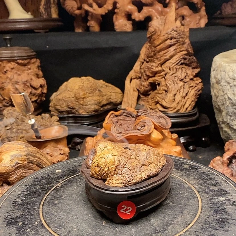 【闪购商品】22号风化胡杨木香炉工艺