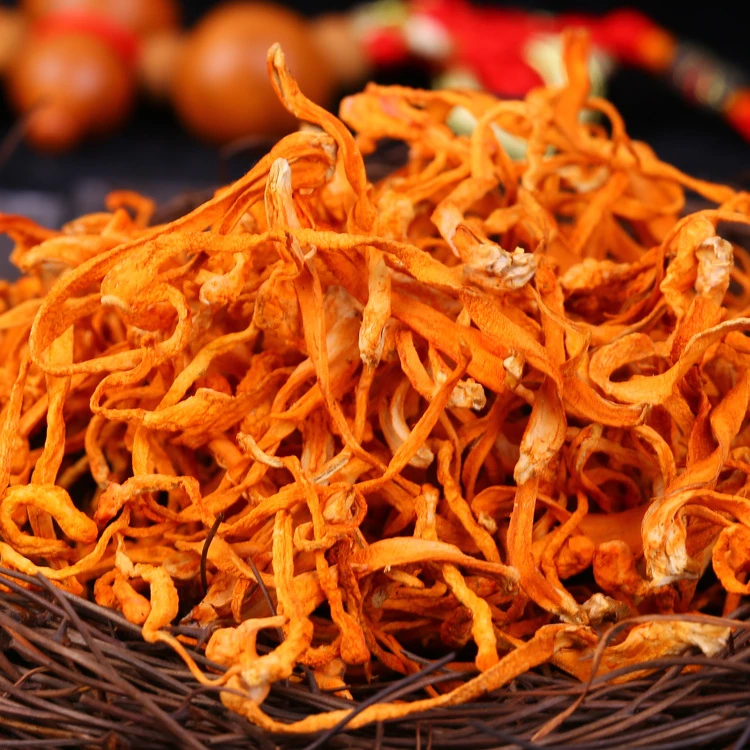 【年年滋补】精选新鲜深山虫草花煲汤炖汤炒菜营养食材