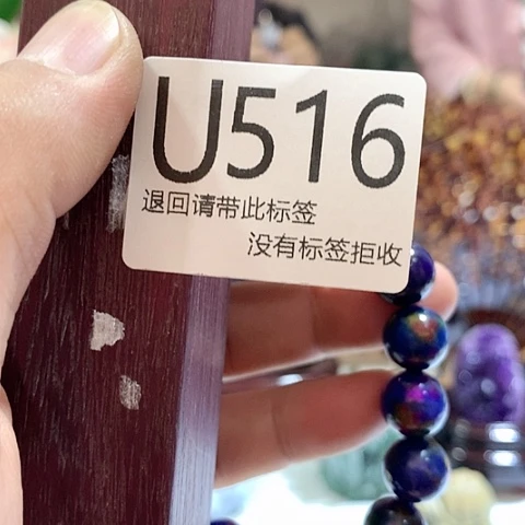 大叶紫檀（黑酸枝木类）516